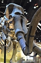 Kids_PNaSMuseum-2013 (31)